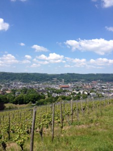Blick vom Petrisberg auf Trier